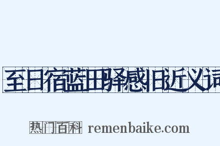 至日宿蓝田驿感旧近义词是什么意思的图片